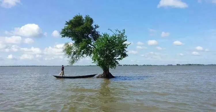 "চলনবিল-আধুনিক কৃষি হাব" সমস্যা ও সম্ভাবনা